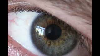 Submission video thumbnail