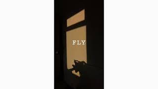 Submission video thumbnail