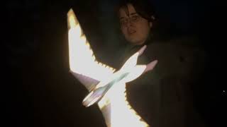 Submission video thumbnail