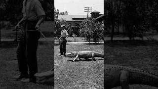 walk thumbnail