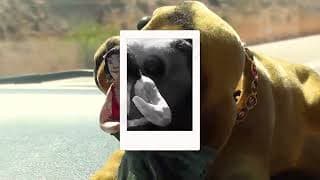 Submission video thumbnail